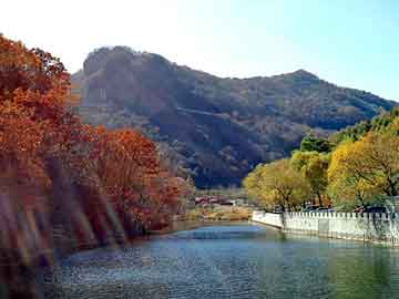 澳门天天免费精准大全，青岛汽车座套